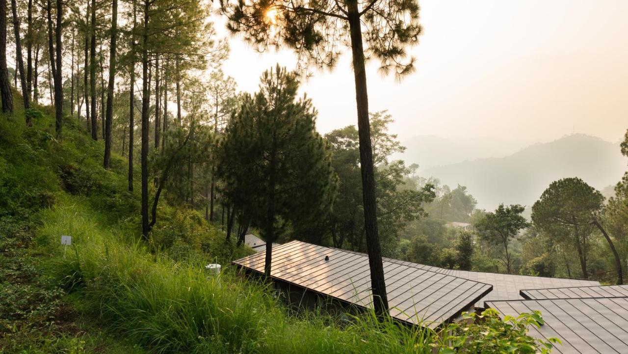 Amaya Kasauli Esterno foto