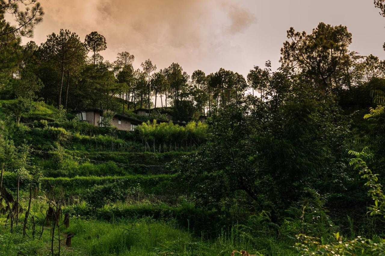 Amaya Kasauli Esterno foto