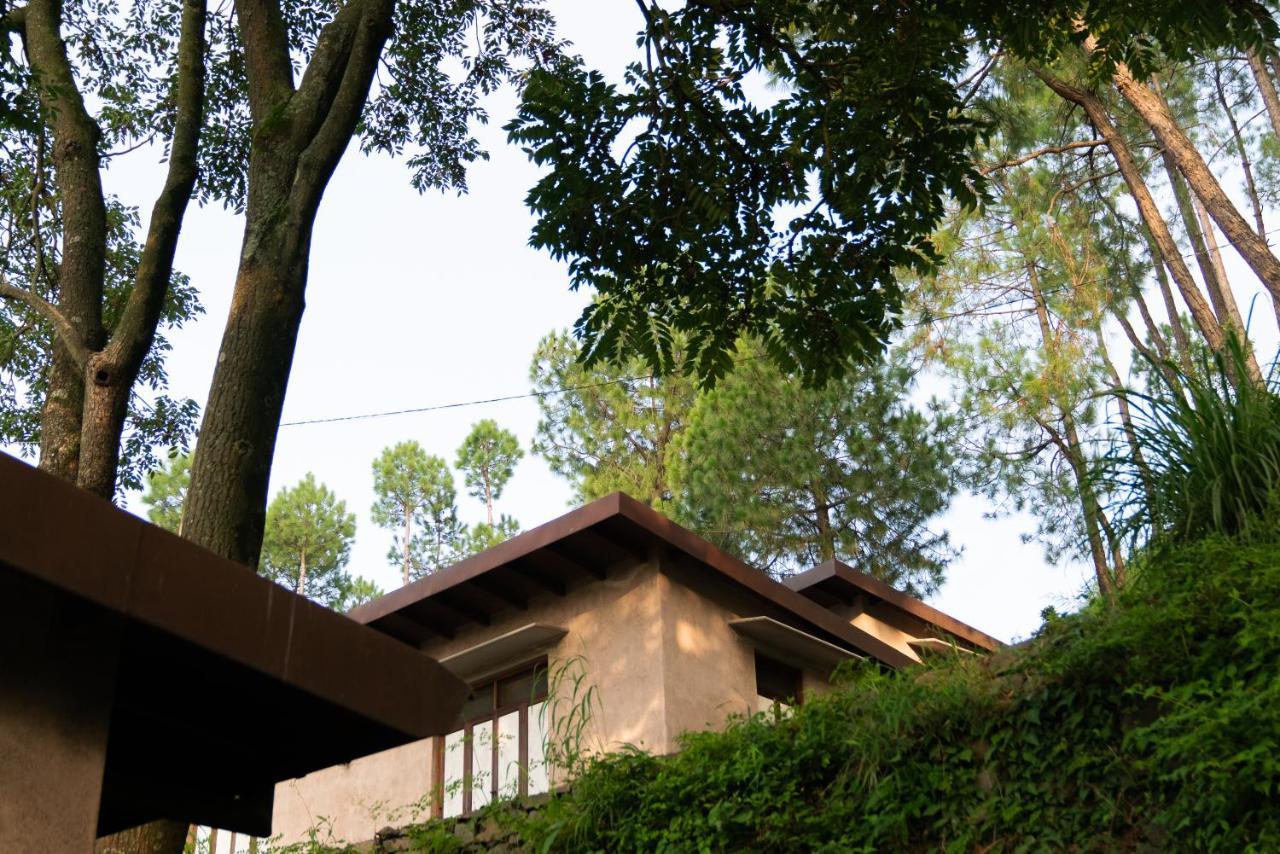 Amaya Kasauli Esterno foto