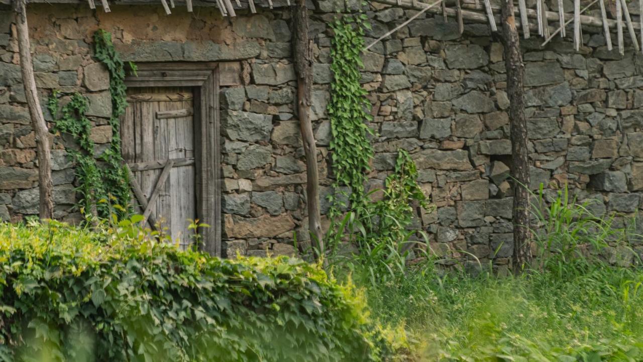 Amaya Kasauli Esterno foto
