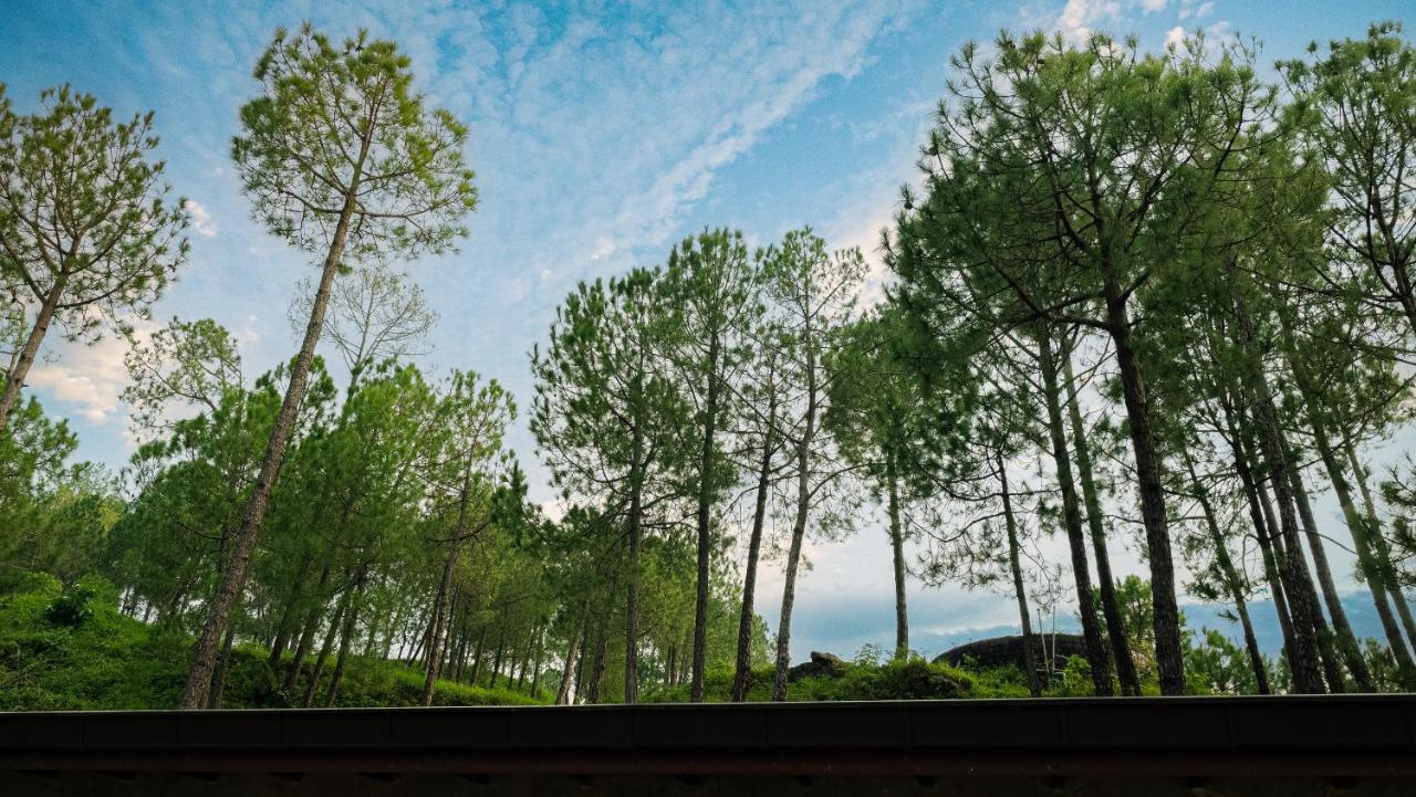 Amaya Kasauli Esterno foto