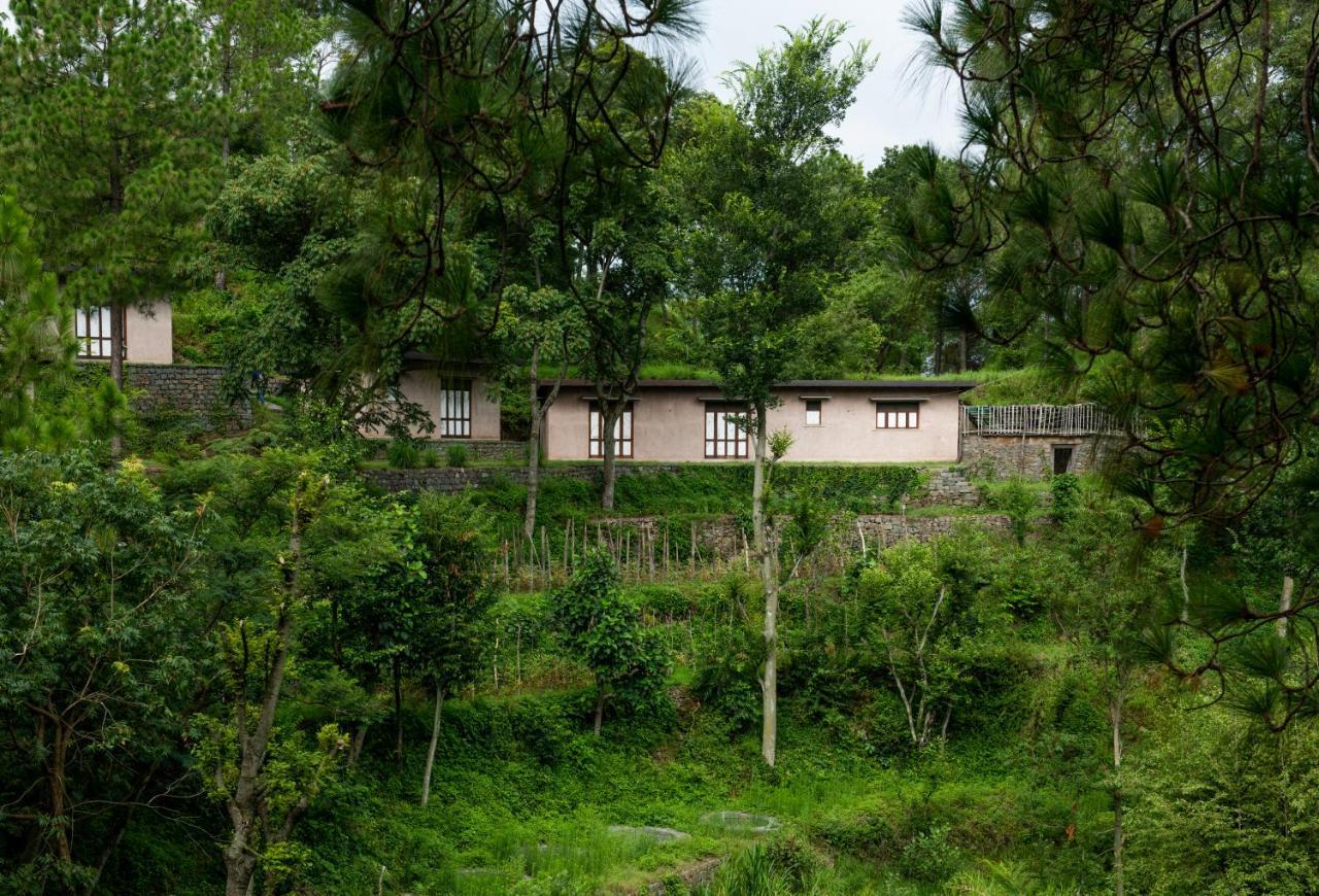 Amaya Kasauli Esterno foto