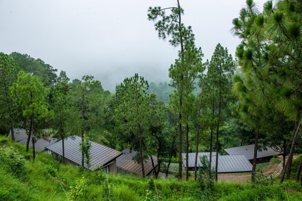 Amaya Kasauli Esterno foto